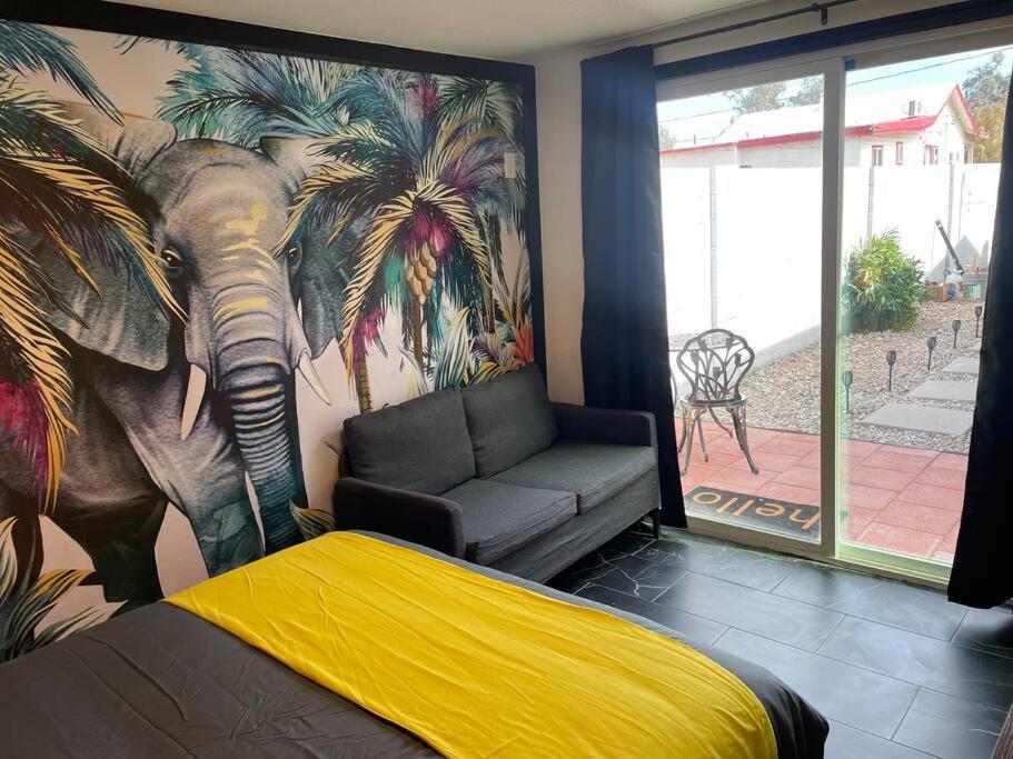 Your Tiny Downtown Home With Backyard Unit D فينيكس المظهر الخارجي الصورة